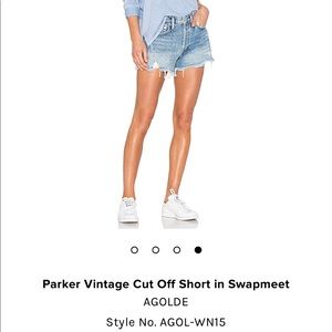 Agolde Parker Short NWT in Swapmeet
